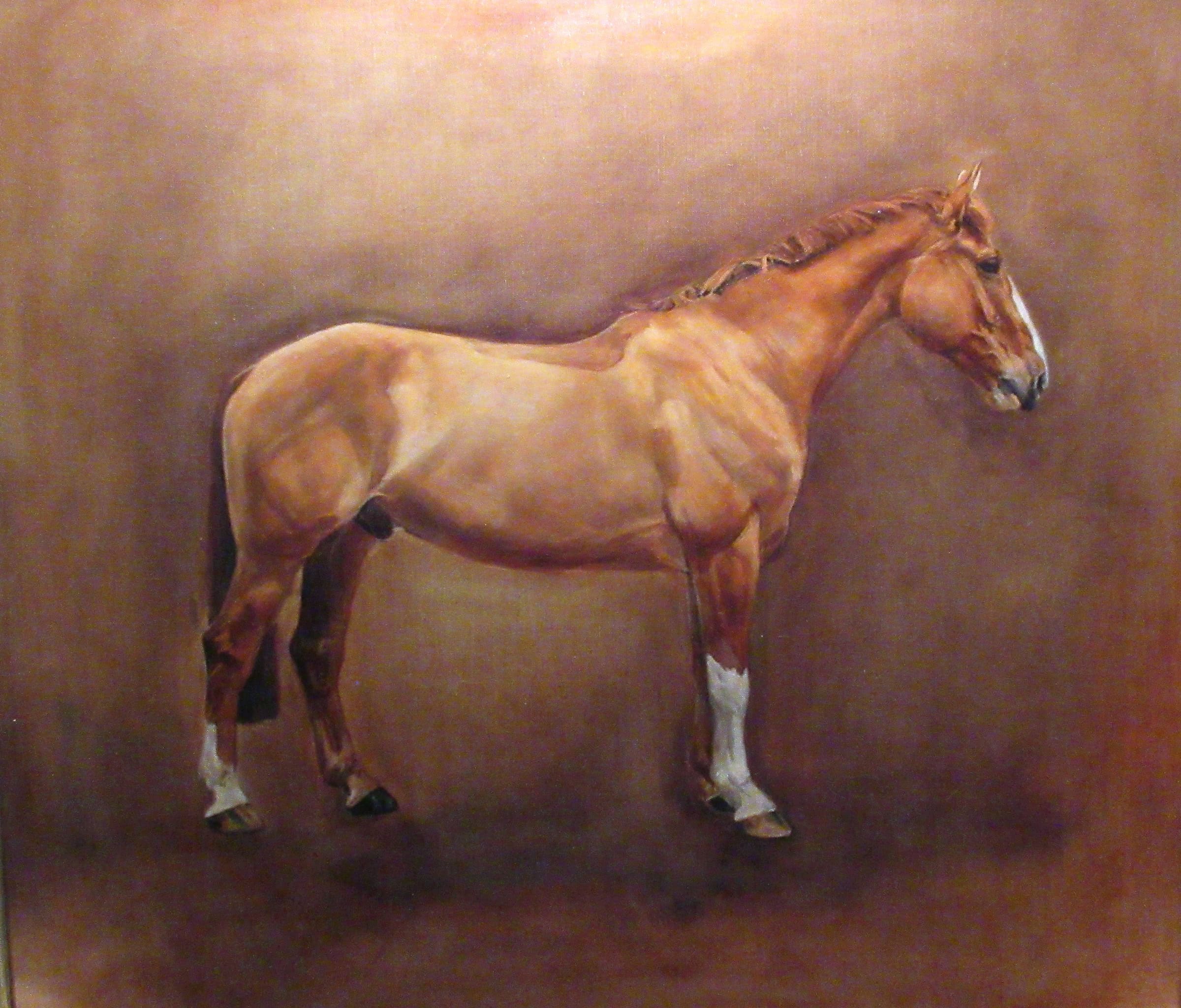 Arthur, Horse Portrait by Davina Bosanquet