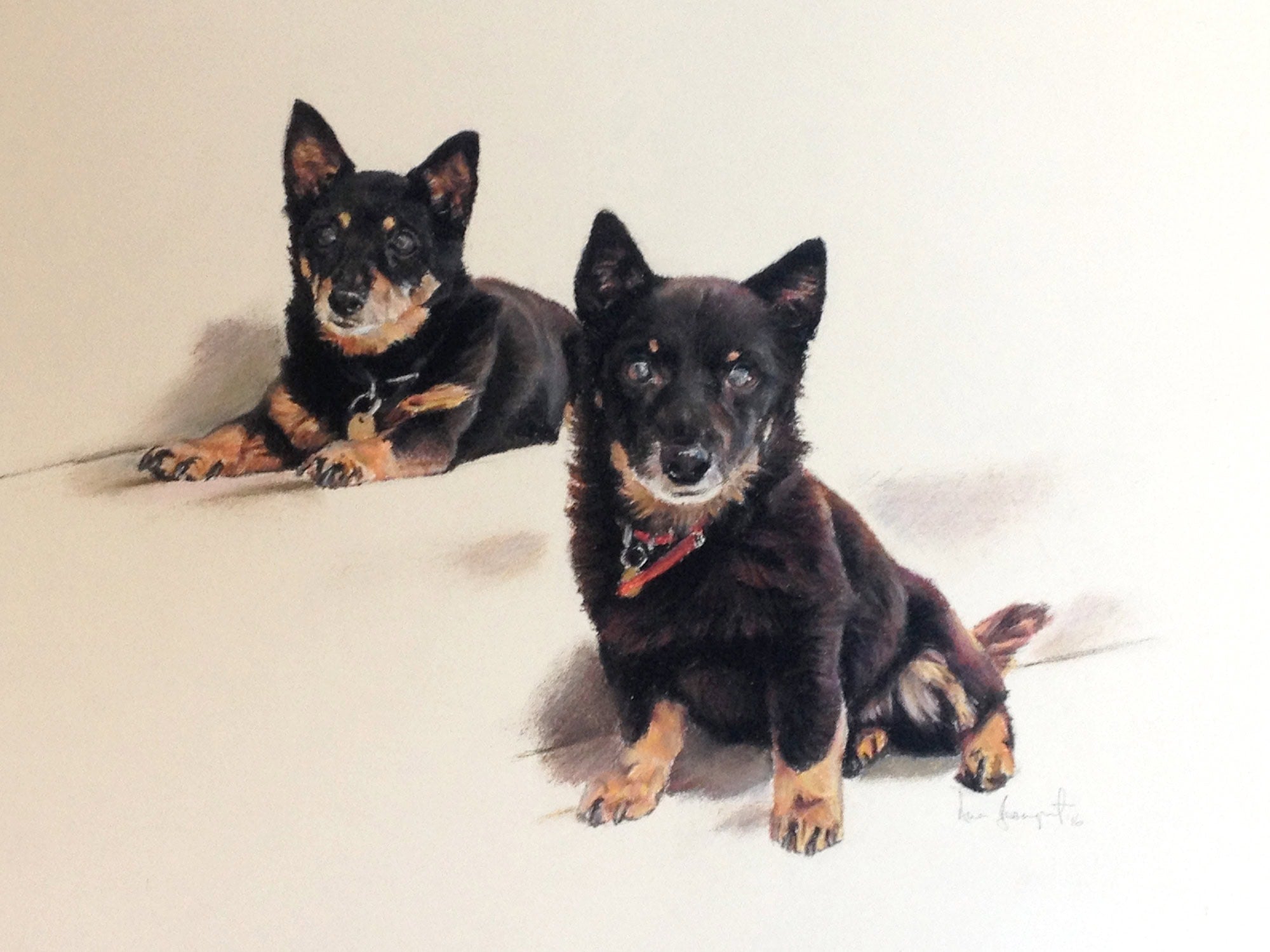 Bingo and Millie, Dog Portrait by Davina Bosanquet