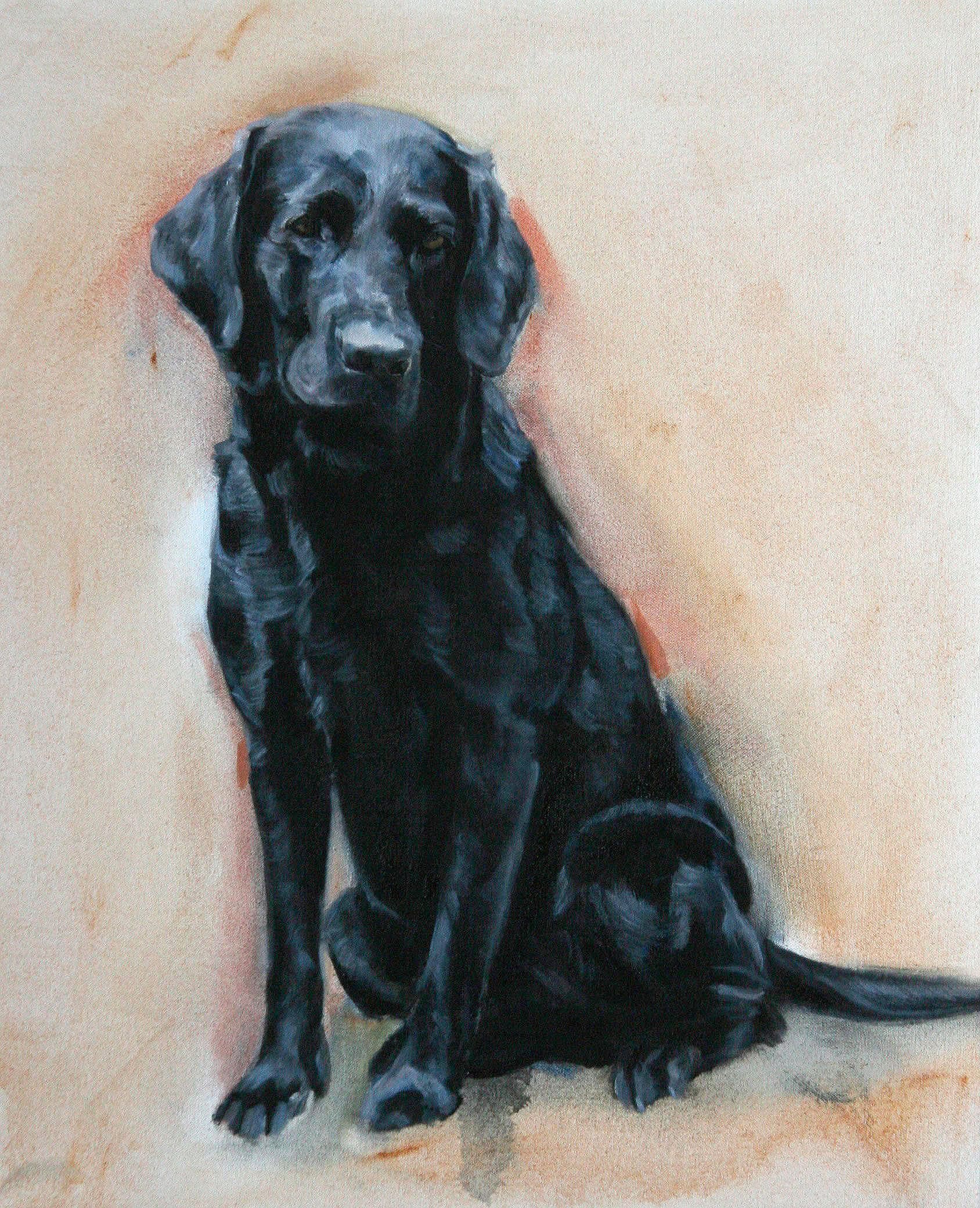 Darcy, Dog Portrait by Davina Bosanquet