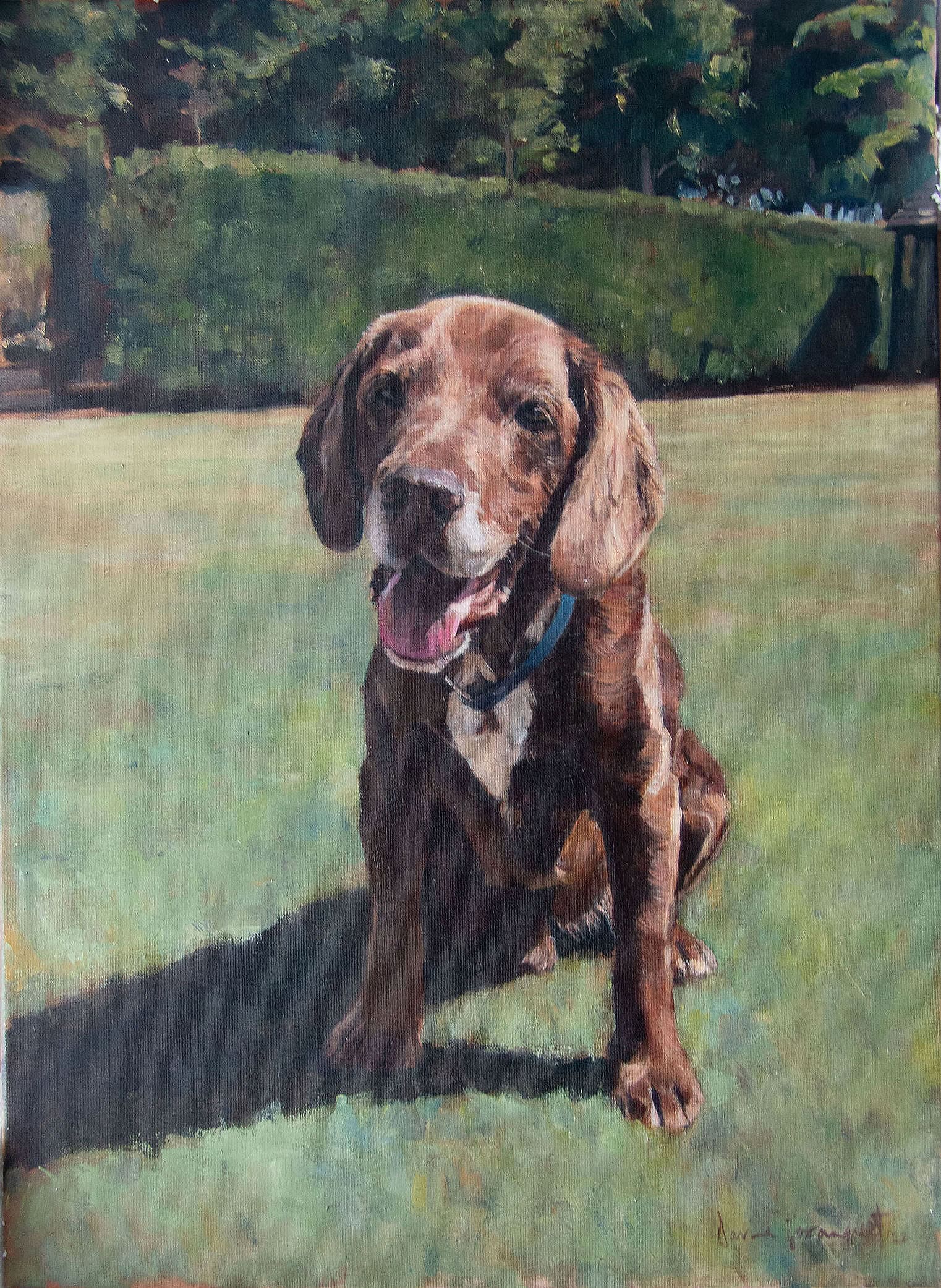Dillan, Dog Portrait by Davina Bosanquet