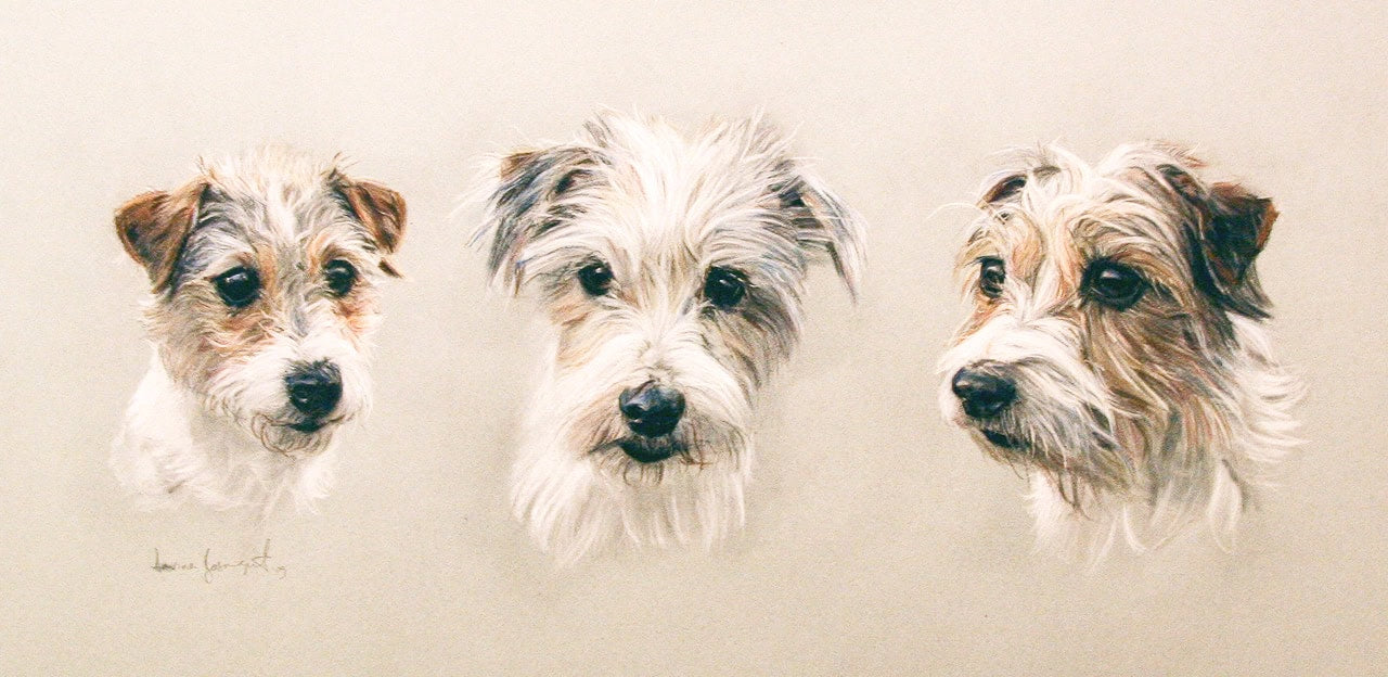Dog Portrait by Davina Bosanquet