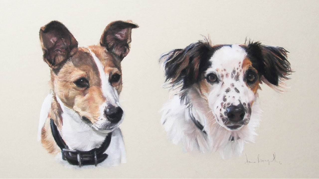 Pheobe and Tillie Dog Portrait by Davina Bosanquet