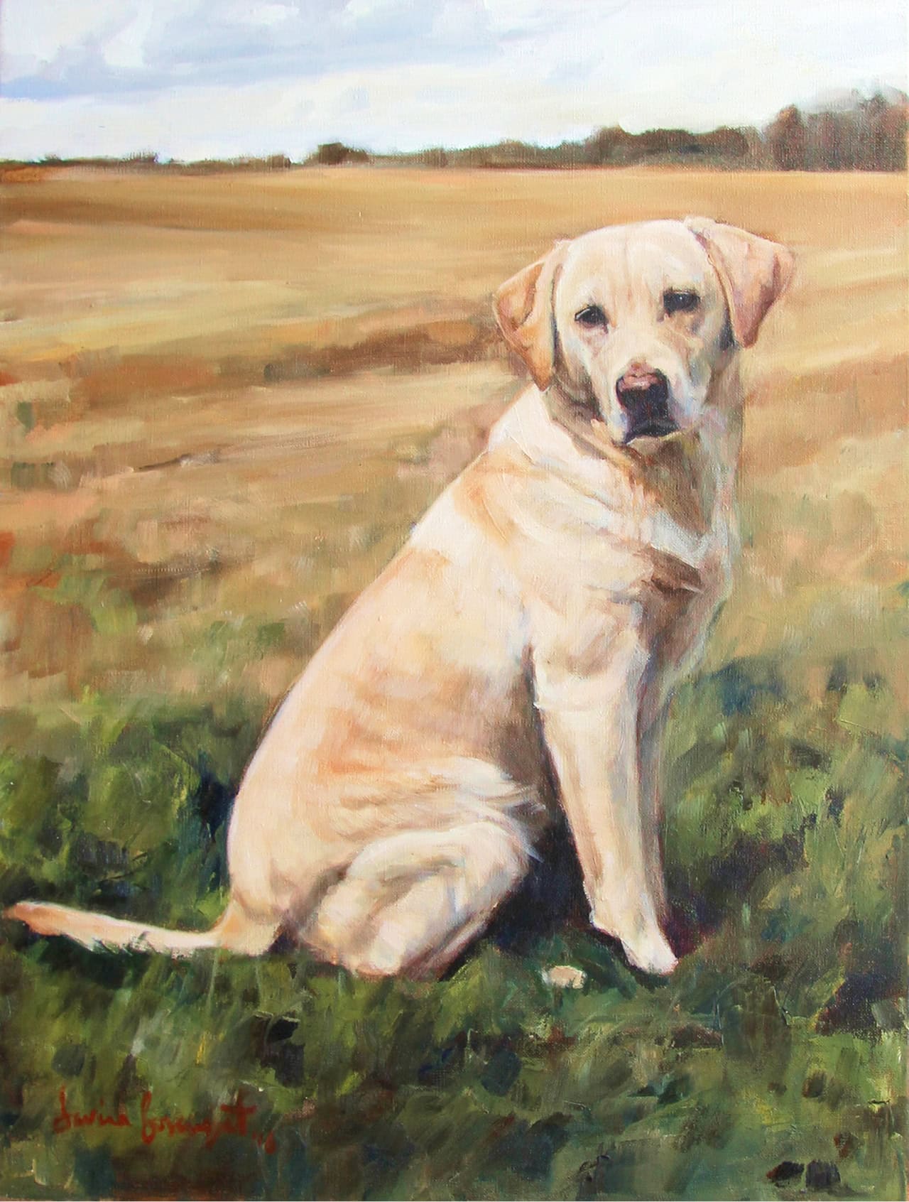 Pippin, Dog Portrait by Davina Bosanquet