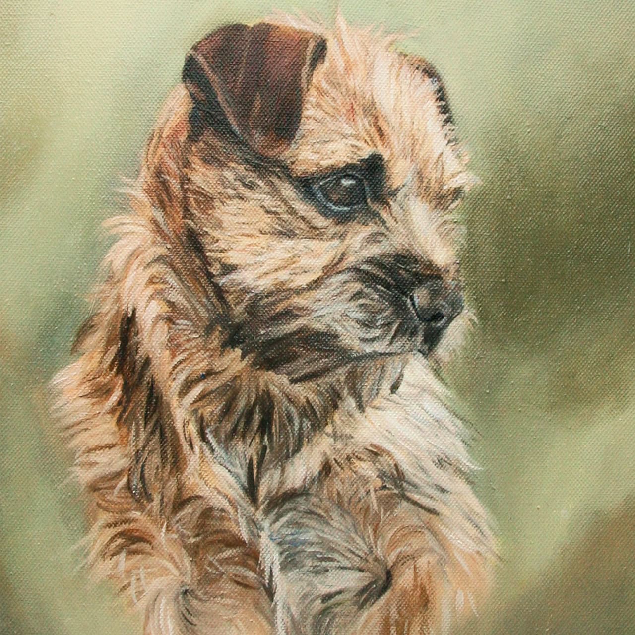 Dog Portrait by Davina Bosanquet