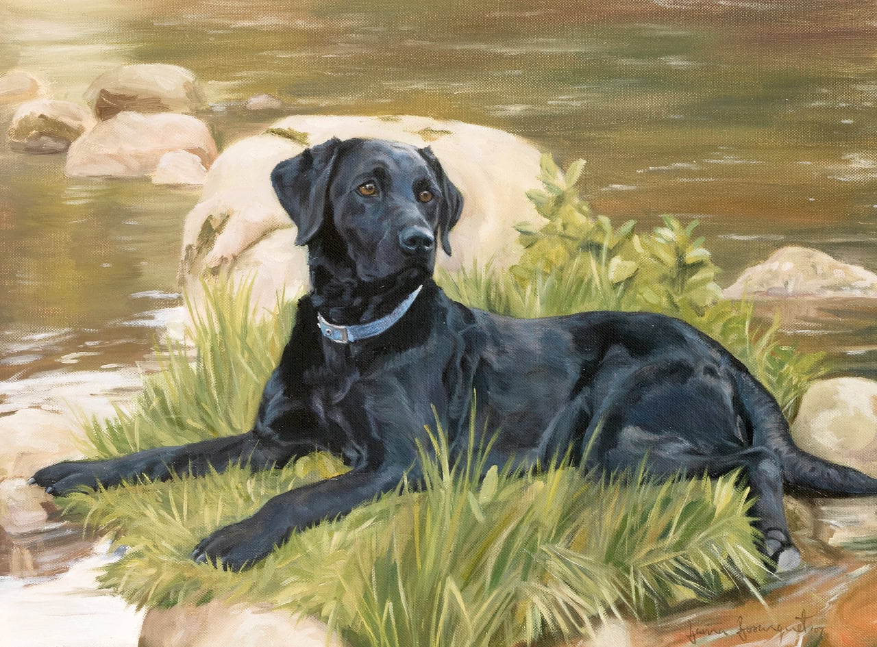 Dog Portrait by Davina Bosanquet