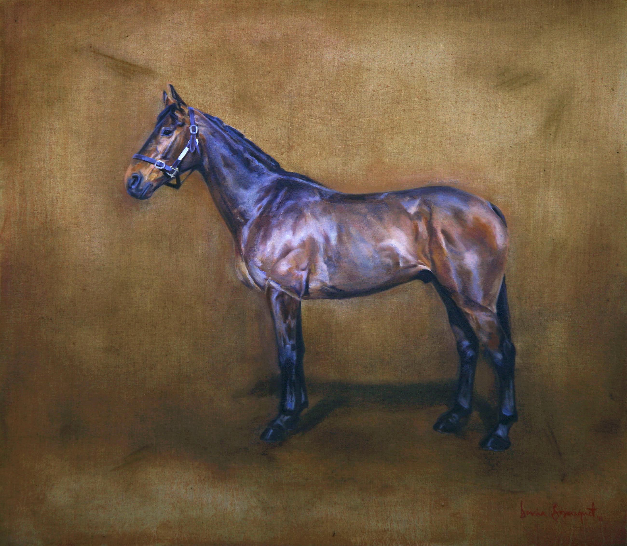 Fintan, Horse Portrait by Davina Bosanquet