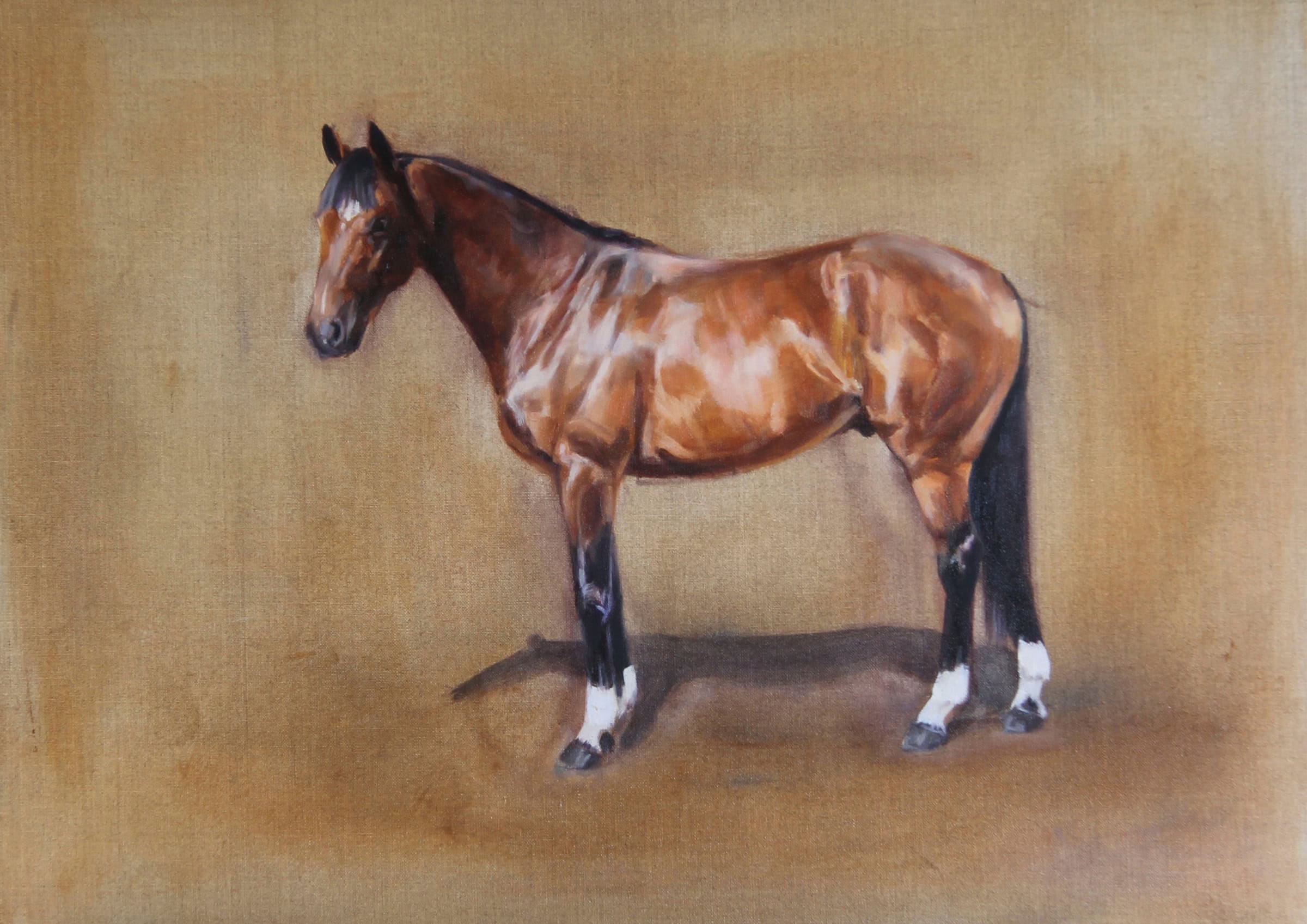Frankel, Horse Portrait by Davina Bosanquet