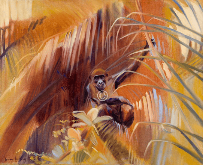 In the Canopy