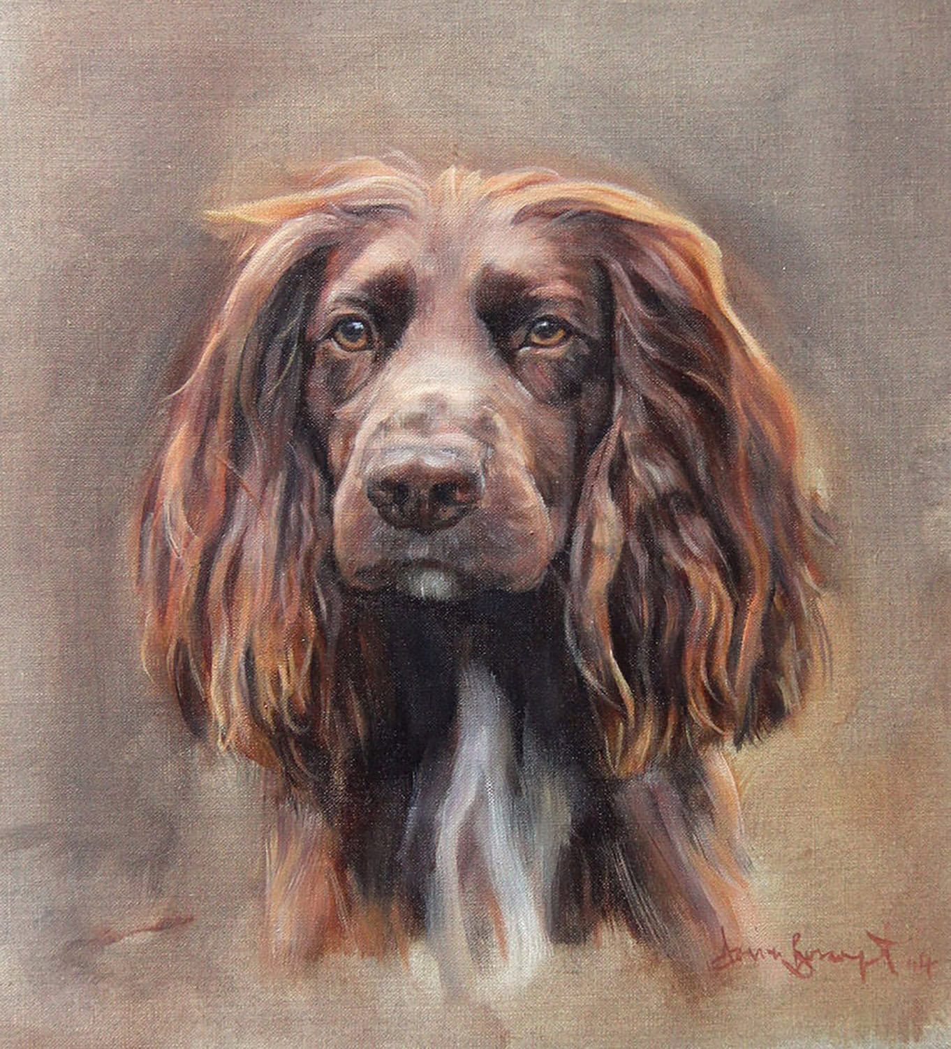Jackson, Dog Portrait by Davina Bosanquet