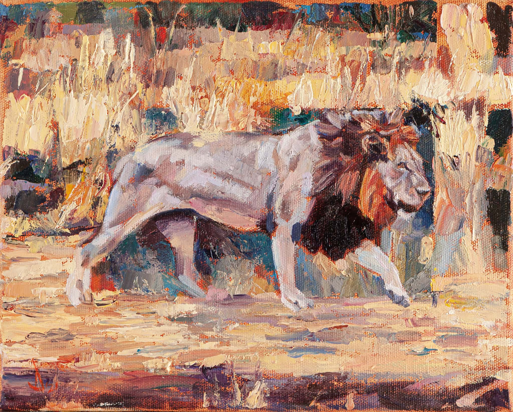 Lion Walk
