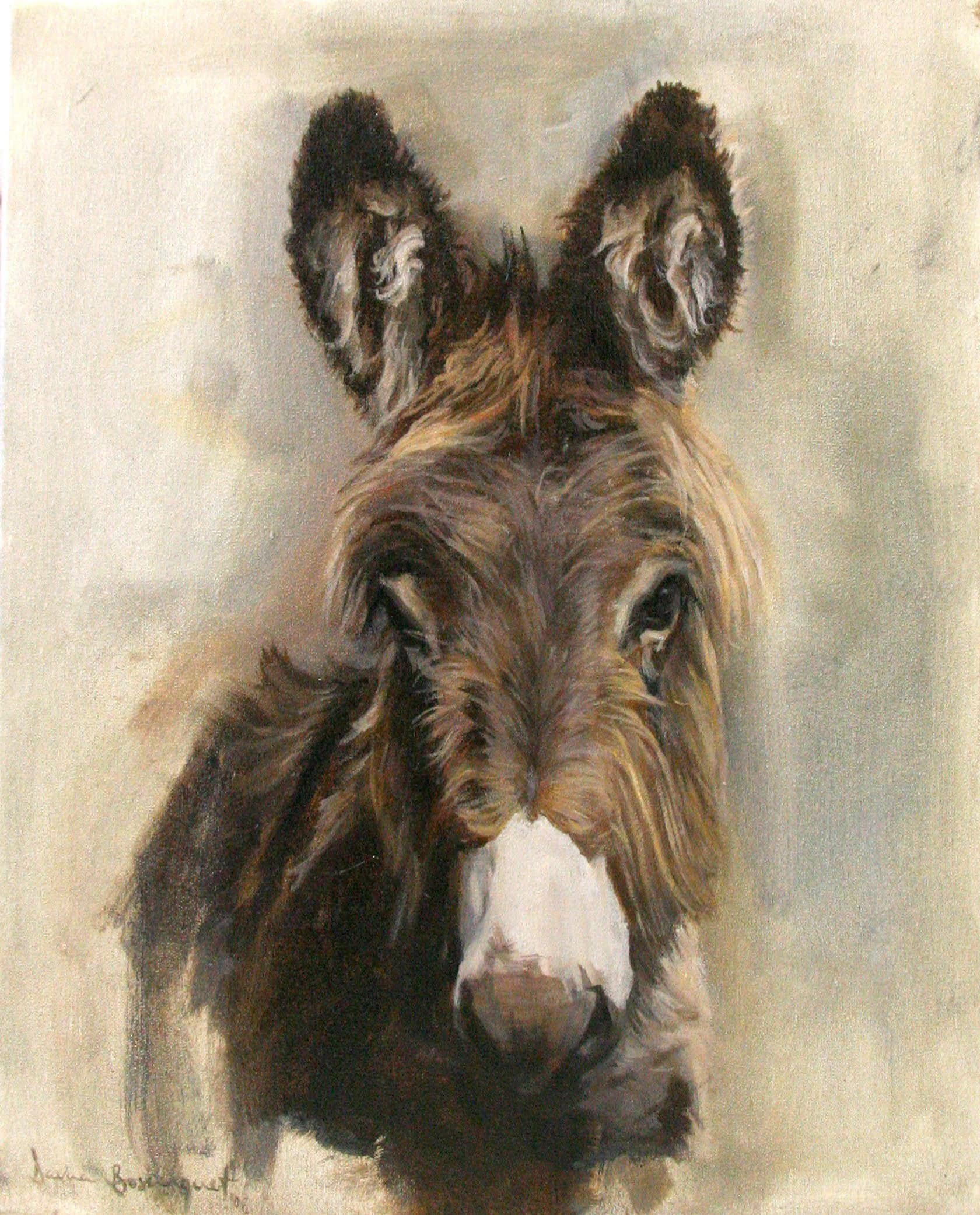 Louis, Horse Portrait by Davina Bosanquet