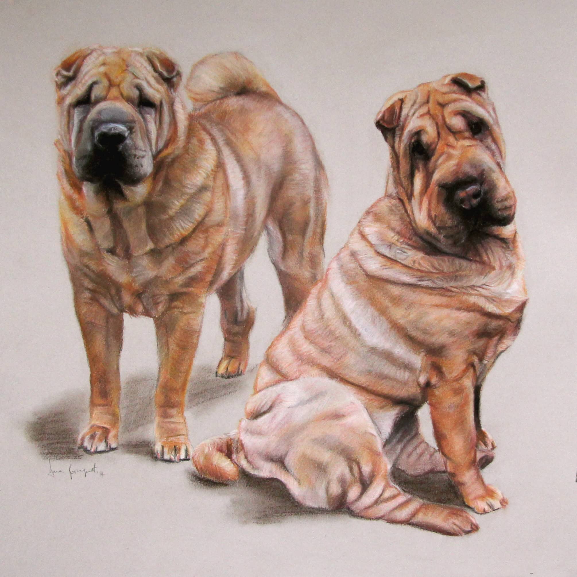 Meeko and Nessy, Dog Portrait by Davina Bosanquet