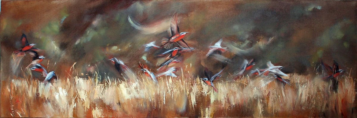 Nesting Rosie Bee-Eaters