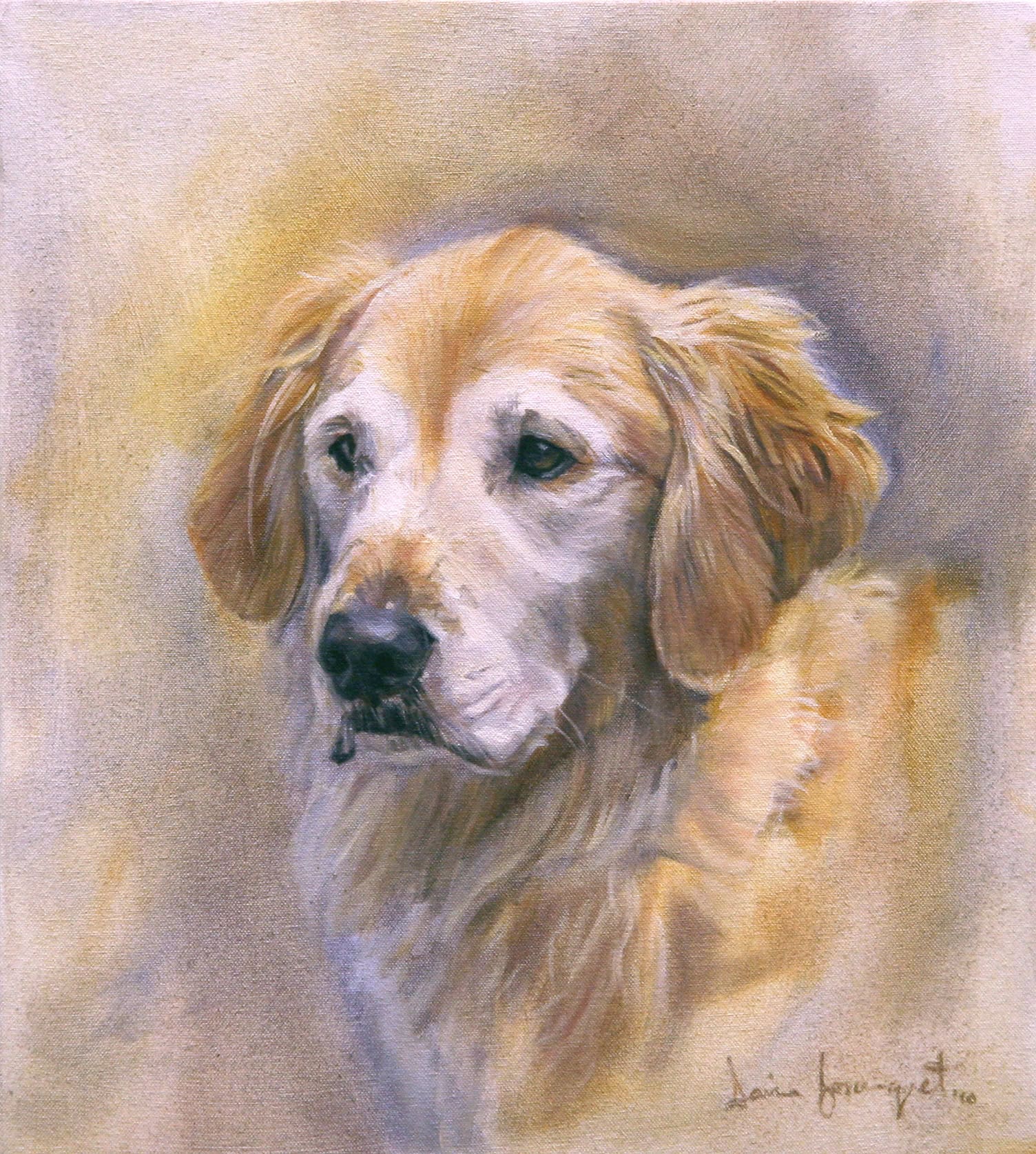 Phin, Dog Portrait by Davina Bosanquet