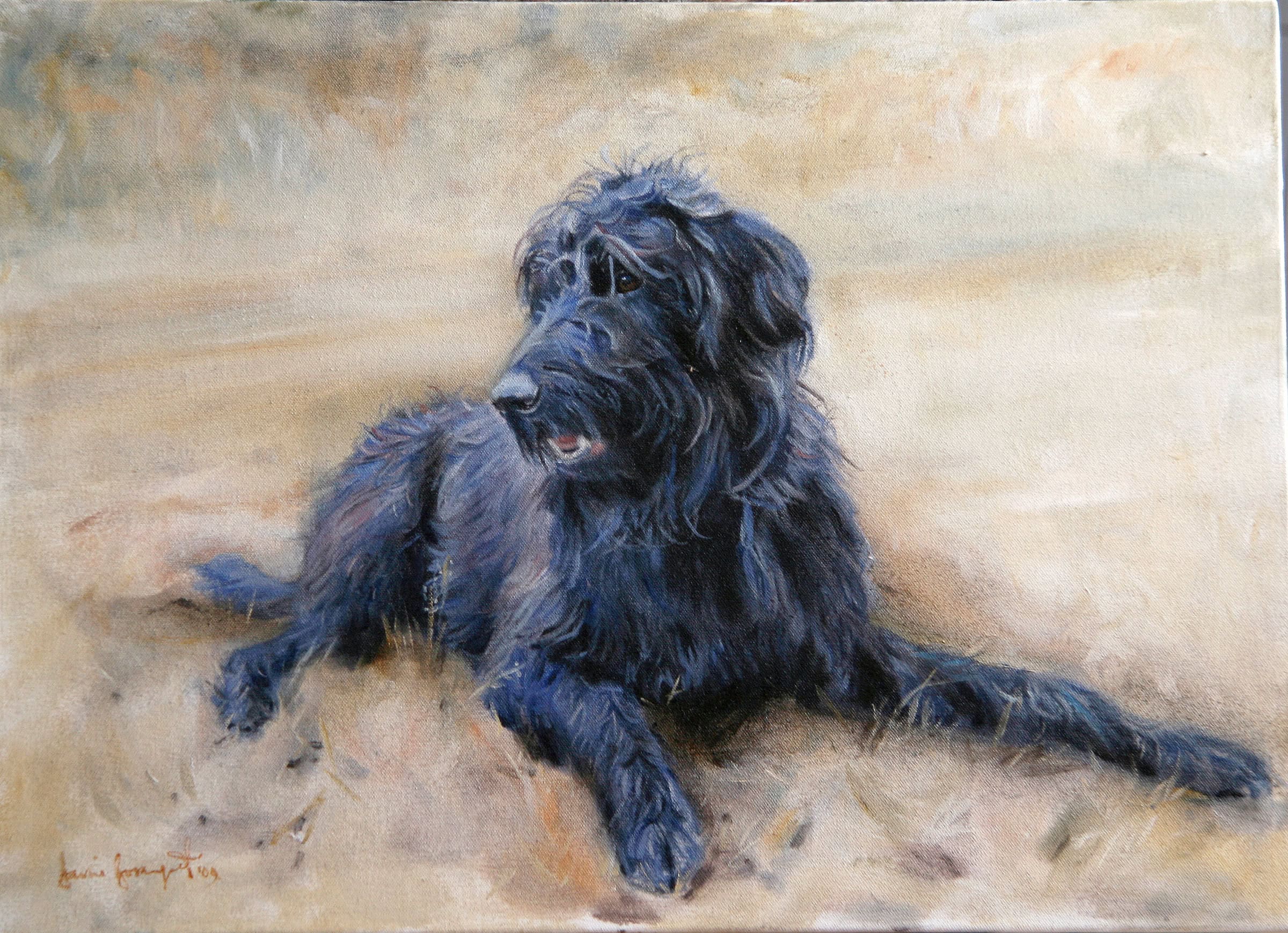 Ruby, Dog Portrait by Davina Bosanquet