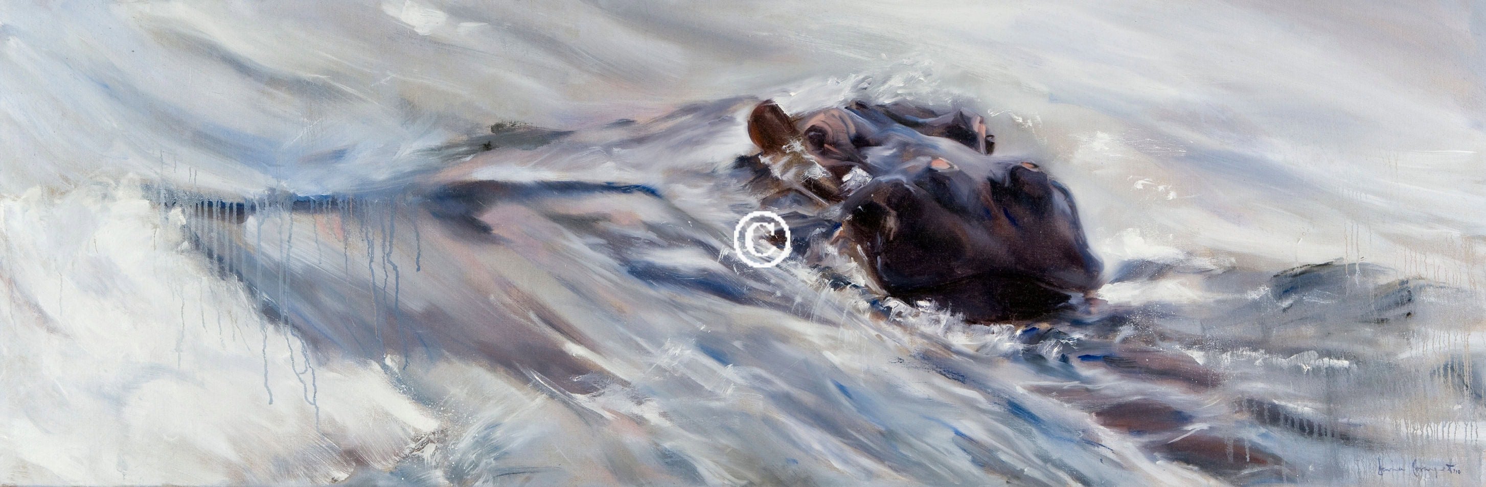 Surfing Hippo