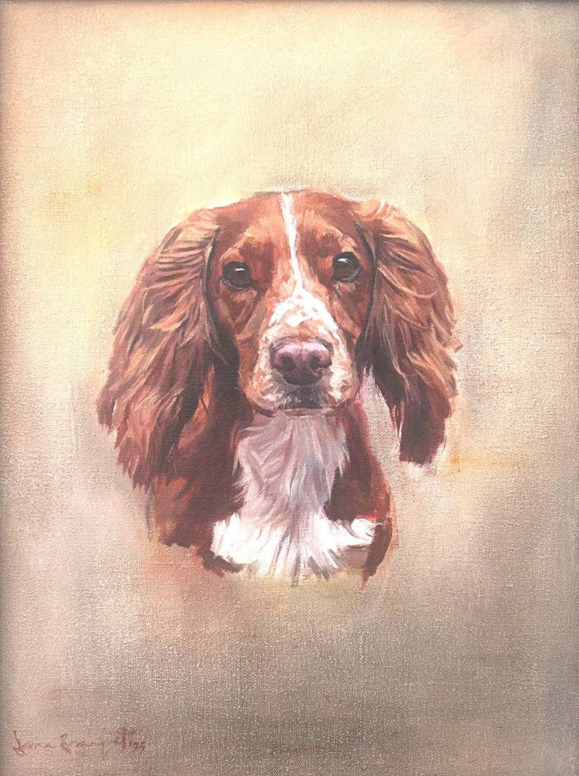 Tarka, Dog Portrait by Davina Bosanquet