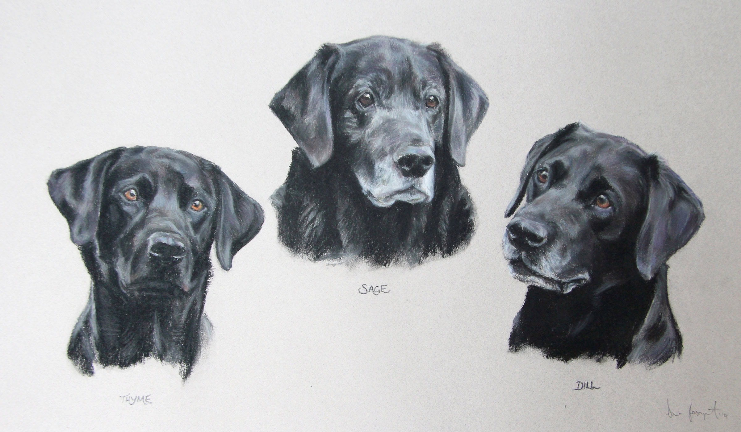 Thyme, Sage and Dill, Dog Portrait by Davina Bosanquet