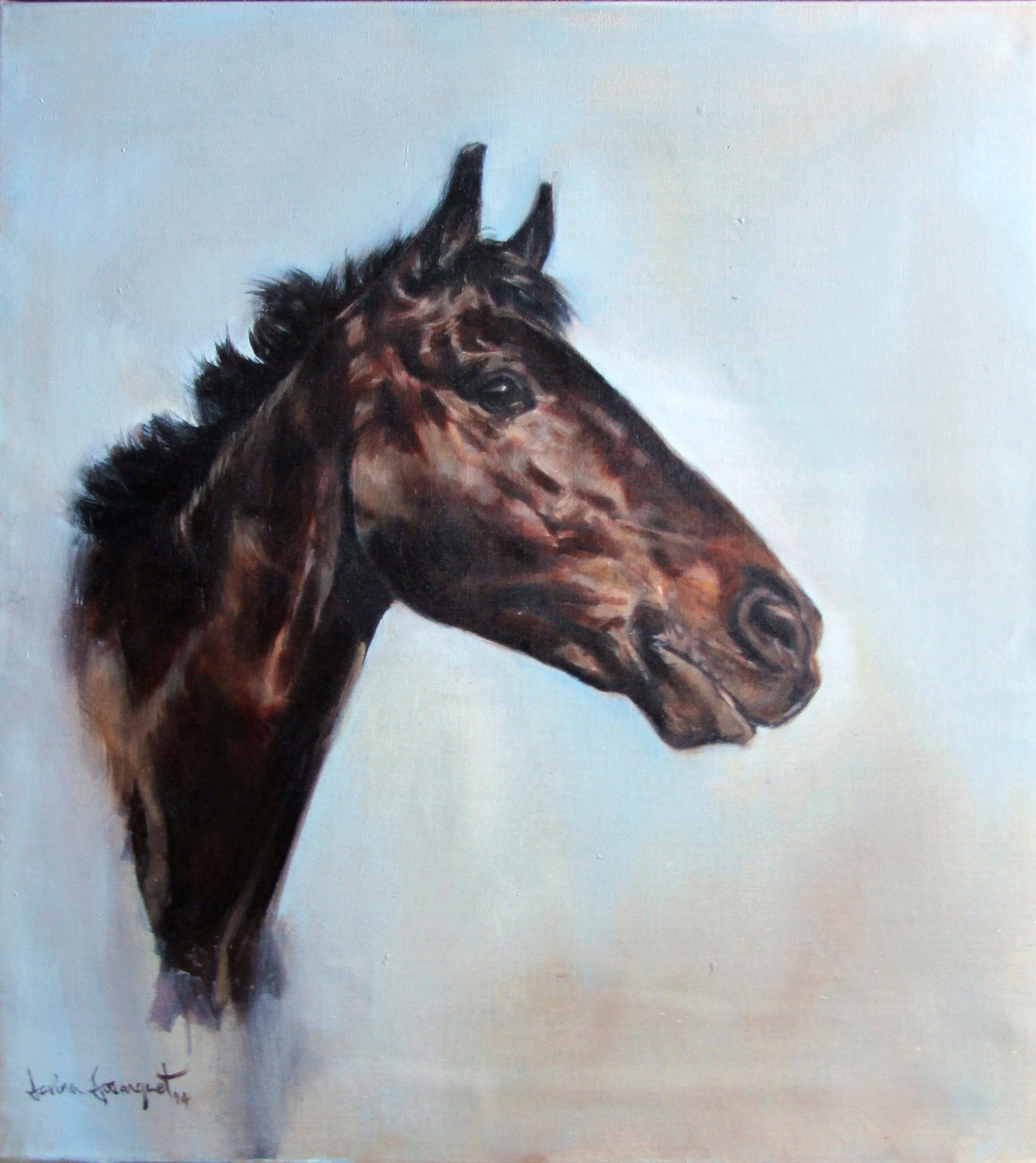 Troy, Horse Portrait by Davina Bosanquet