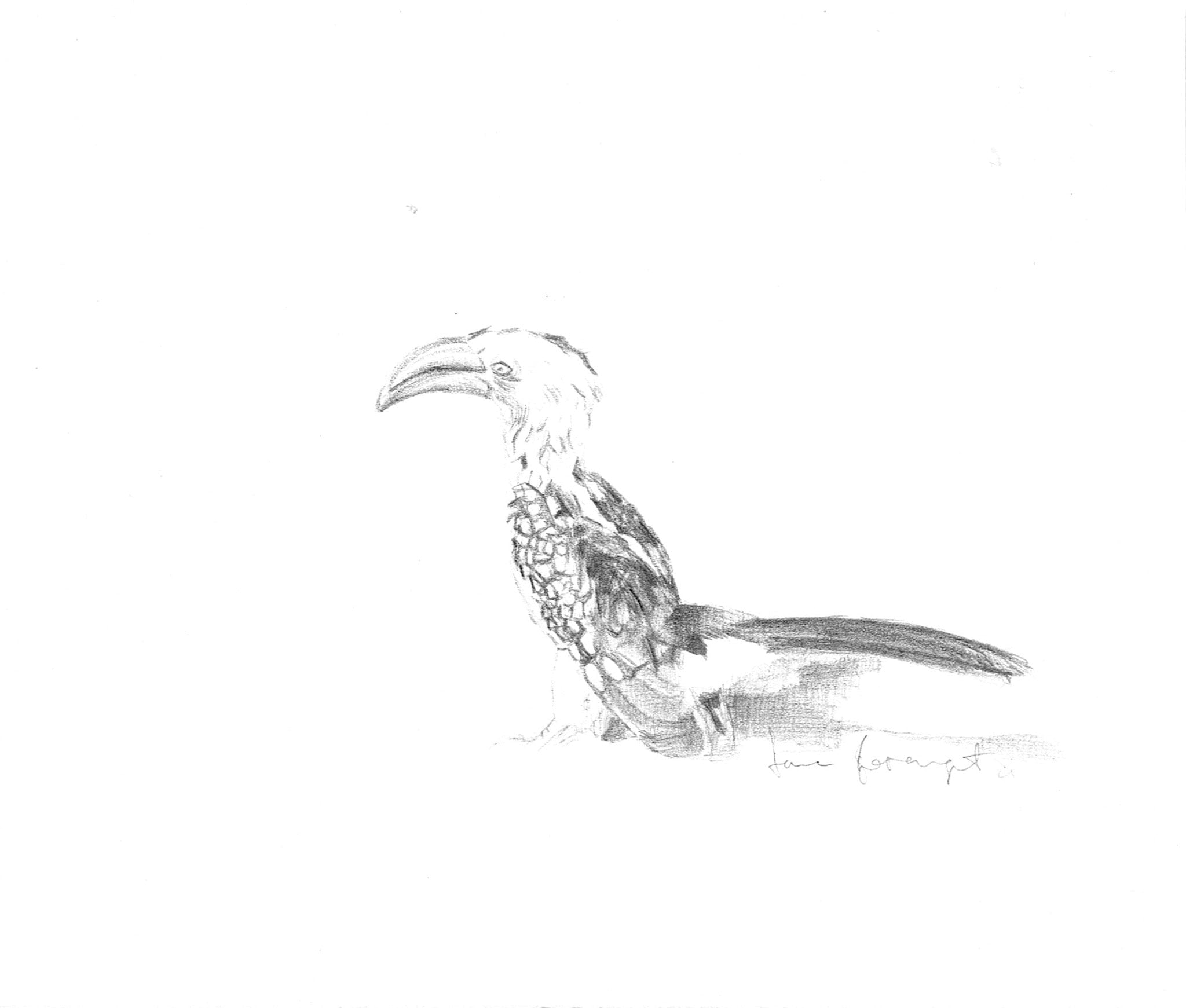 Zazu