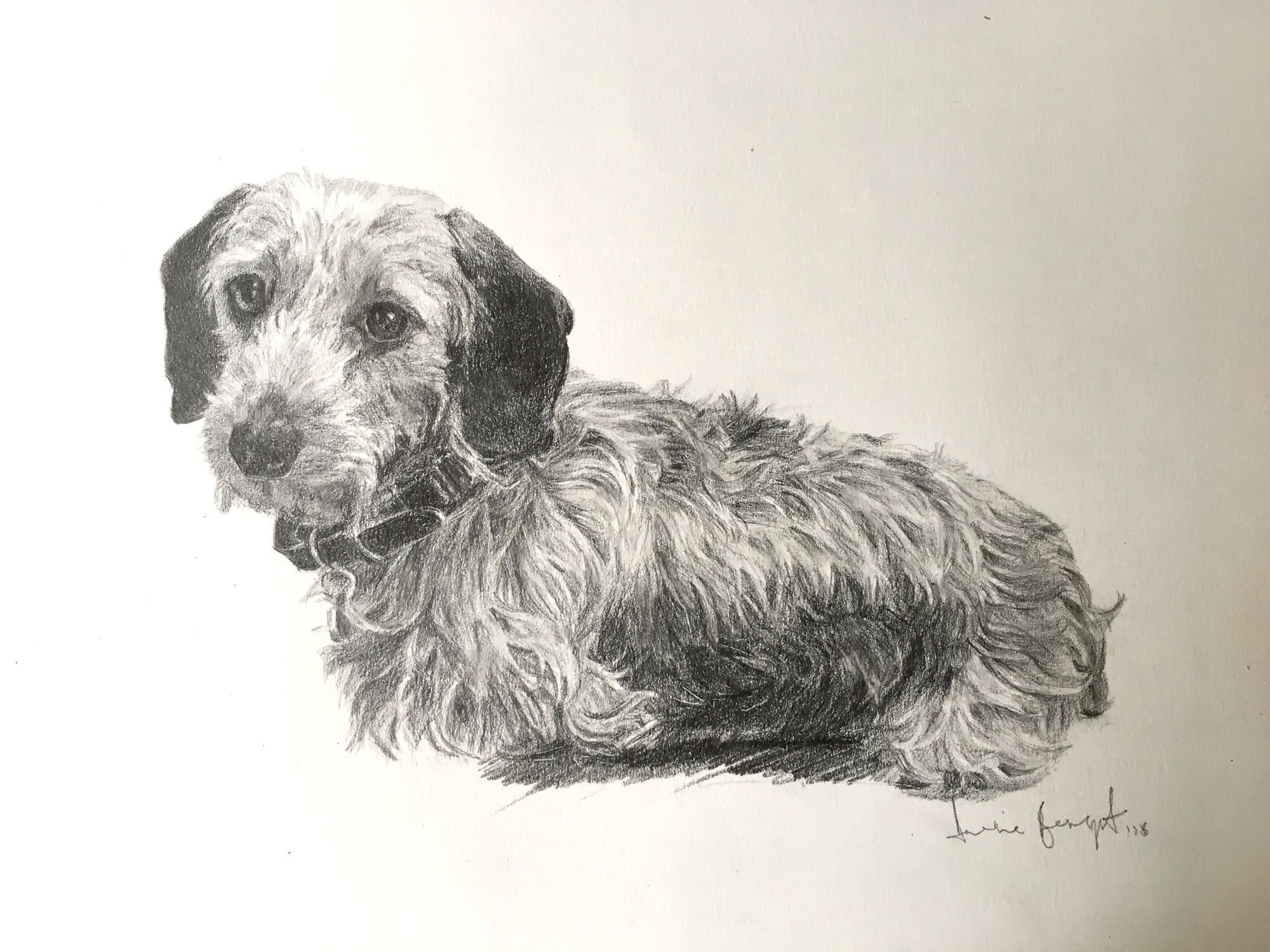 Ethel, Dog Portrait by Davina Bosanquet