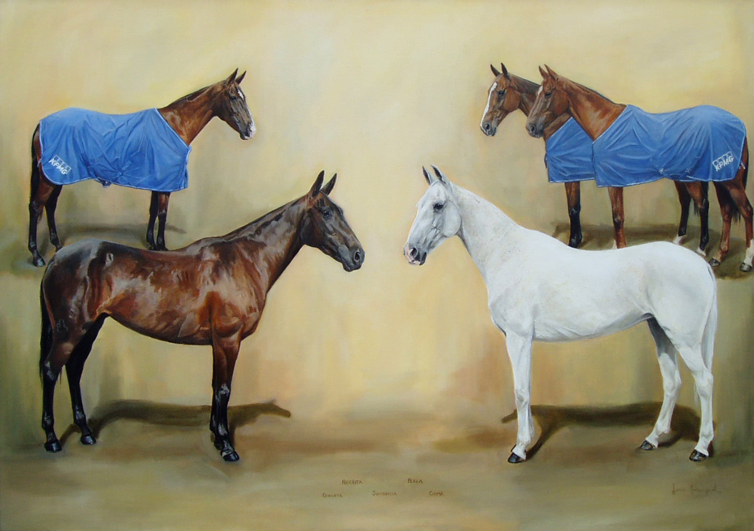 Patel Horses, Horse Portrait by Davina Bosanquet