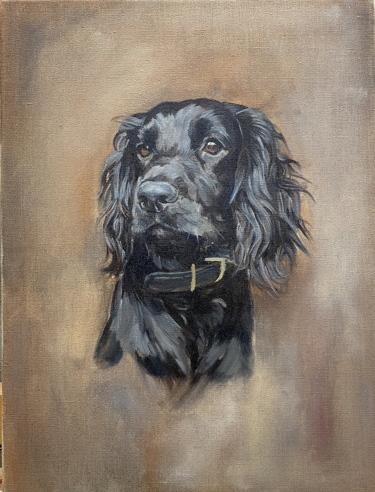 Radar, Dog Portrait by Davina Bosanquet