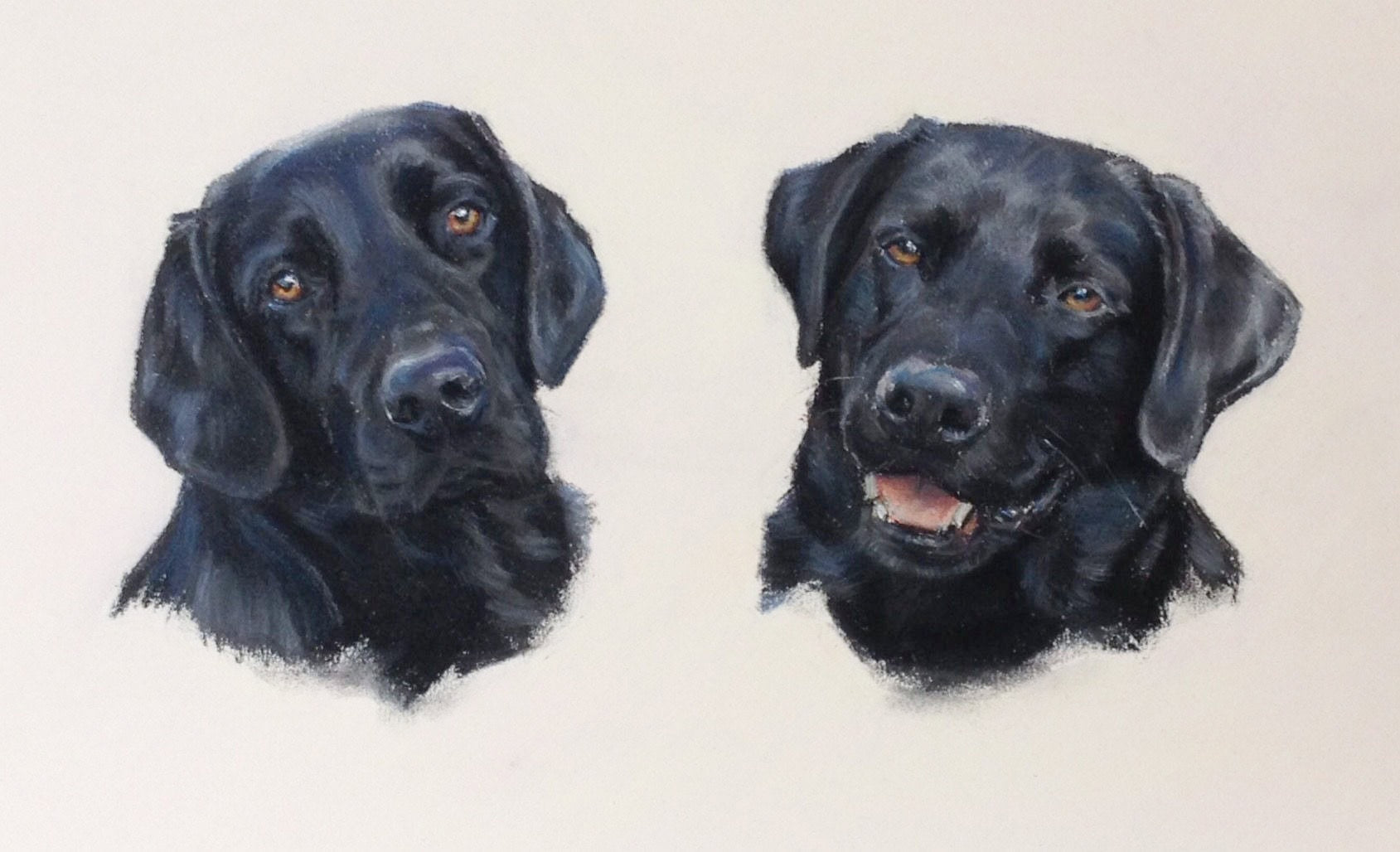 Dog Portrait by Davina Bosanquet