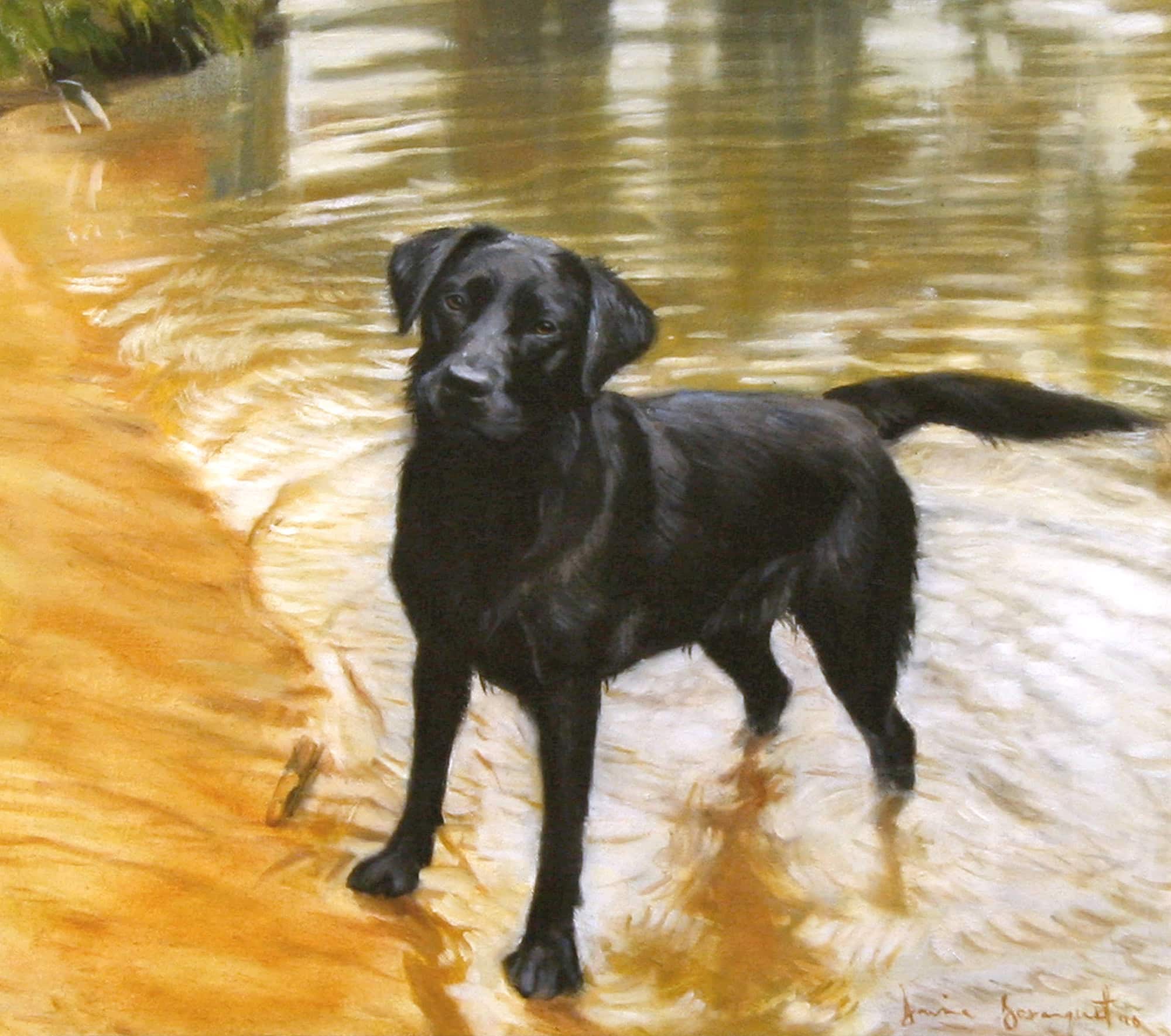 Wanda, Dog Portrait by Davina Bosanquet